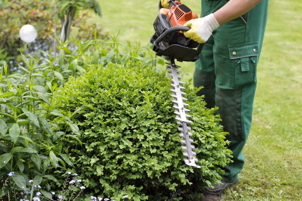 Jardinage & Bricolage